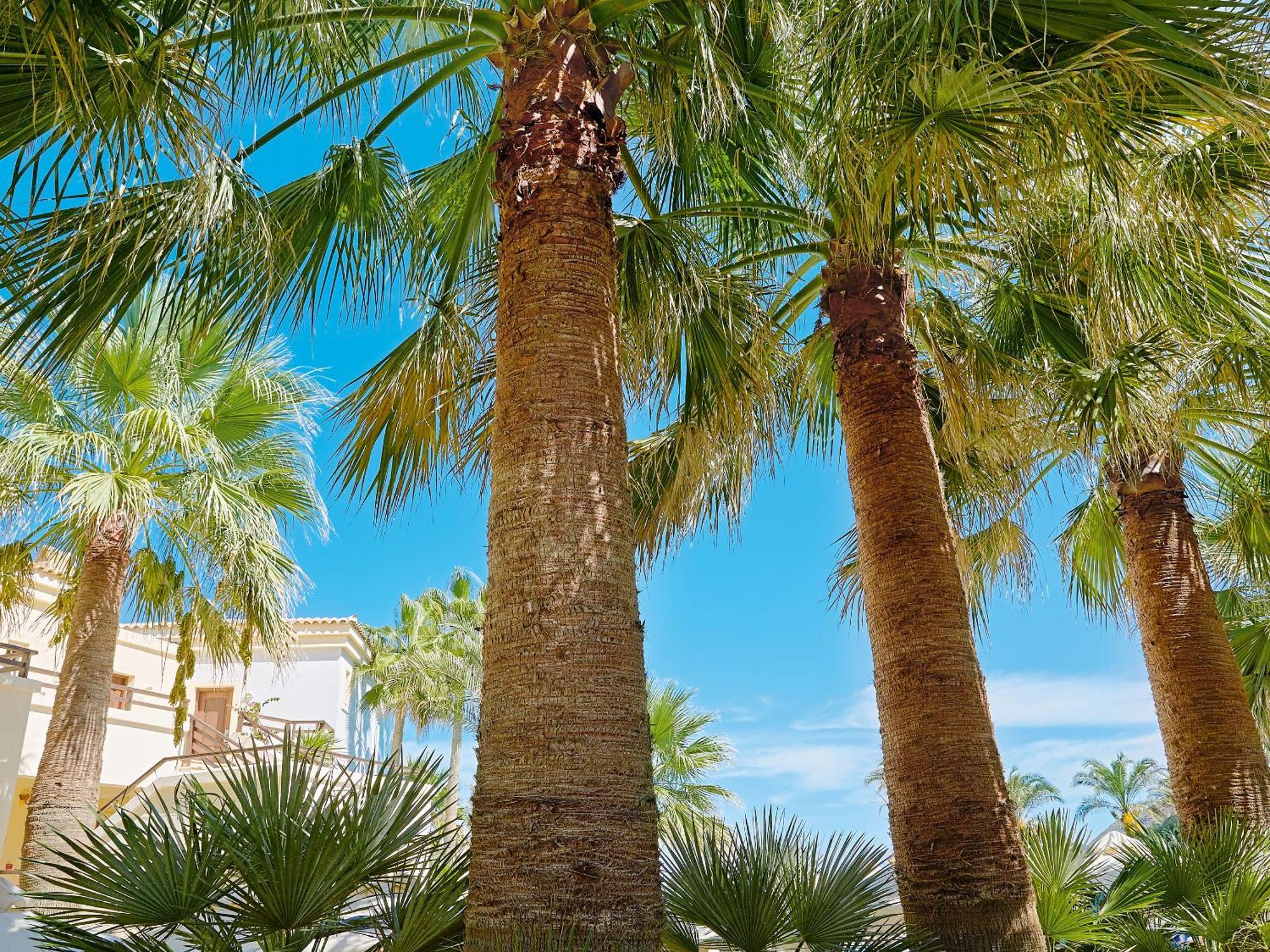 Grecotel Marine Palace & Aqua Park Rethymno  Bagian luar foto